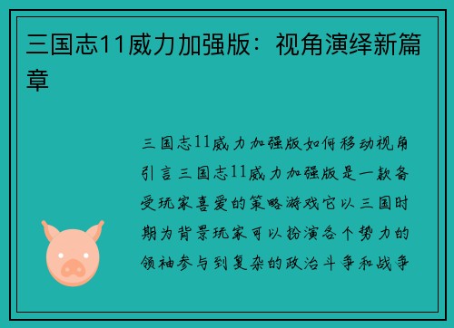 三国志11威力加强版：视角演绎新篇章